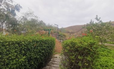 Condominio Nuevo Polo - San Antonio, Cañete: Venta lotes