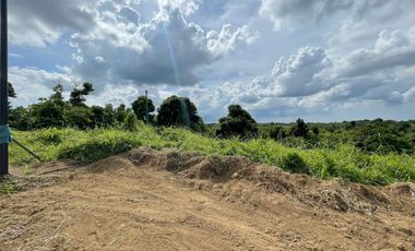 Residential Lot For Sale in Lanewood Hills by Ayala Land Premier, Silang Cavite
