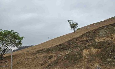 vendo terreno en urbanización el condado de vicolinci