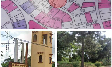 Sale Lot at PONDEROSA Leisure Farm Silang Cavite 919sqm Price 10,109,000 negotiable.