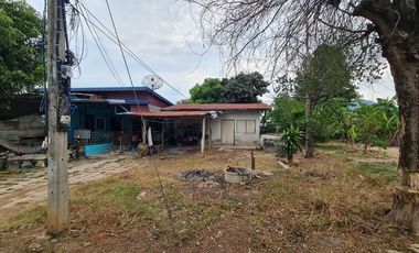 92566 - ขายบ้านเดี่ยว 1 ชั้น ขนาด 50 ตารางวา บรรยากาศดี ร่มรื่น สงบ เป็นธรรมชาติ อ.สีคิ้ว นครราชสีมา