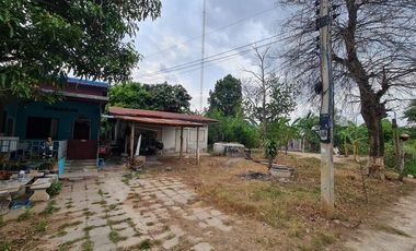 92566 - ขายบ้านเดี่ยว 1 ชั้น ขนาด 50 ตารางวา บรรยากาศดี ร่มรื่น สงบ เป็นธรรมชาติ อ.สีคิ้ว นครราชสีมา