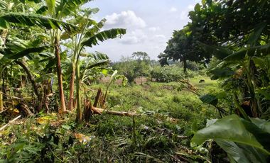 Tagaytay City Commercial / Residential lot for sale