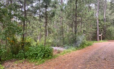 VENTA DE TERRENO TAPALPA