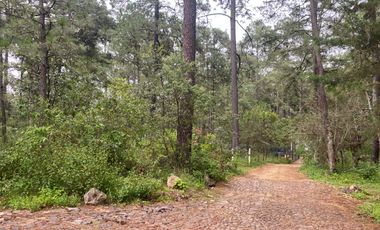 VENTA DE TERRENO TAPALPA