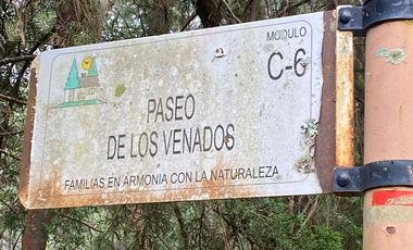 VENTA DE TERRENO TAPALPA