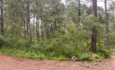 VENTA DE TERRENO TAPALPA