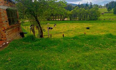 VENTA FINCA CON AGUA NACIENTE 3 FANEGADAS