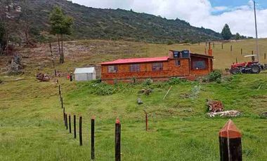 VENTA FINCA CON AGUA NACIENTE 3 FANEGADAS