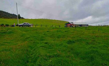 VENTA FINCA CON AGUA NACIENTE 3 FANEGADAS