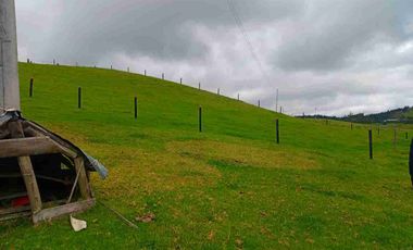 VENTA FINCA CON AGUA NACIENTE 3 FANEGADAS