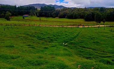 VENTA FINCA CON AGUA NACIENTE 3 FANEGADAS