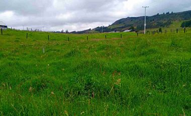 VENTA FINCA CON AGUA NACIENTE 3 FANEGADAS