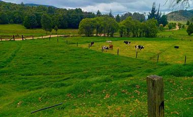 VENTA FINCA CON AGUA NACIENTE 3 FANEGADAS