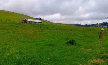 VENTA FINCA CON AGUA NACIENTE 3 FANEGADAS