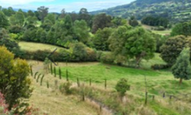 Se Vende Lote con Construcción - Subachoque - Cundinamarca