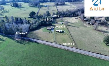 Pitrufquen sector Mune alto 2 lotes que suman 2,235has con casa acceso directo a ruta S 593 COD.VTAP234