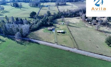 Pitrufquen sector Mune alto 2 lotes que suman 2,235has con casa acceso directo a ruta S 593 COD.VTAP234