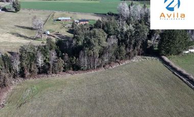Pitrufquen sector Mune alto 2 lotes que suman 2,235has con casa acceso directo a ruta S 593 COD.VTAP234