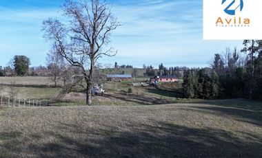 Pitrufquen sector Mune alto 2 lotes que suman 2,235has con casa acceso directo a ruta S 593 COD.VTAP234