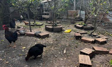 amplio terreno en venta con casita de un piso ideal para varios propósitos y proyectos en San Sebastián