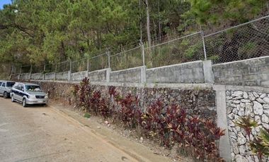 6-hectare lot in Baguio City ideal for high-end residential development
