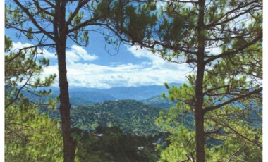 6-hectare lot in Baguio City ideal for high-end residential development