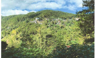 6-hectare lot in Baguio City ideal for high-end residential development