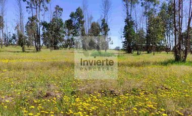 Parcela 10.000 m2 con Casa 60m2 terreno Plano totalmente cercada