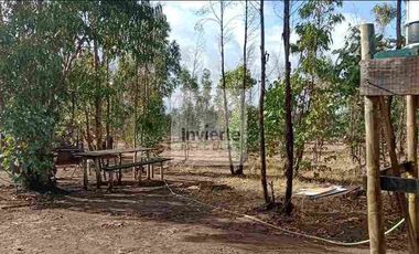 Parcela 10.000 m2 con Casa 60m2 terreno Plano totalmente cercada