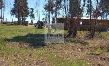 Parcela 10.000 m2 con Casa 60m2 terreno Plano totalmente cercada