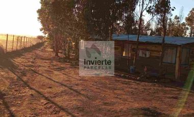 Parcela 10.000 m2 con Casa 60m2 terreno Plano totalmente cercada