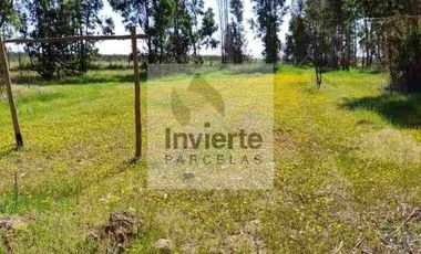 Parcela 10.000 m2 con Casa 60m2 terreno Plano totalmente cercada