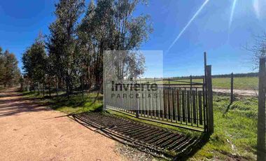 Parcela 10.000 m2 con Casa 60m2 terreno Plano totalmente cercada