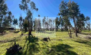 Parcela 10.000 m2 con Casa 60m2 terreno Plano totalmente cercada