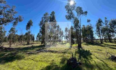 Parcela 10.000 m2 con Casa 60m2 terreno Plano totalmente cercada