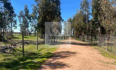 Parcela 10.000 m2 con Casa 60m2 terreno Plano totalmente cercada