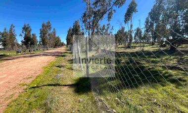 Parcela 10.000 m2 con Casa 60m2 terreno Plano totalmente cercada