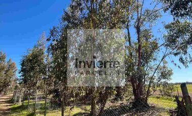 Parcela 10.000 m2 con Casa 60m2 terreno Plano totalmente cercada