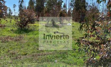 Parcela Plana 5000m2 VI Región