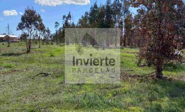 Parcela Plana 5000m2 VI Región
