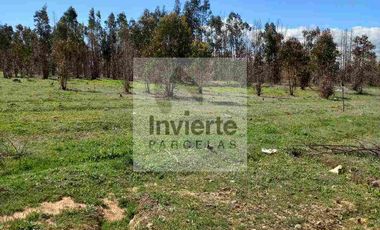 Parcela Plana 5000m2 VI Región