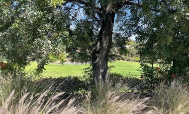 Terreno en Venta Las Lomas