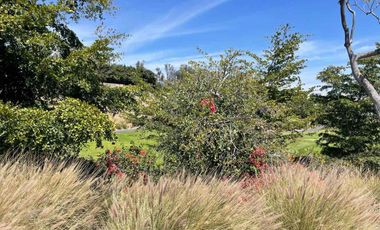 Terreno en Venta Las Lomas