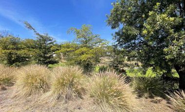 Terreno en Venta Las Lomas