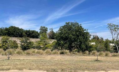 Terreno en Venta Las Lomas