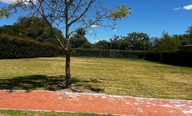 Oportunidad En Puembo, Venta De Hermoso Lote En Urbanización Palermo