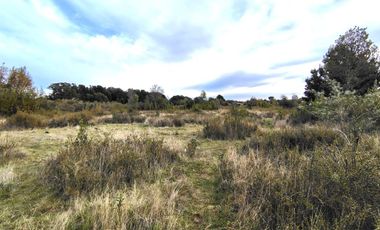 Terreno plano en  sector Curiñanco $ 80.000.000.