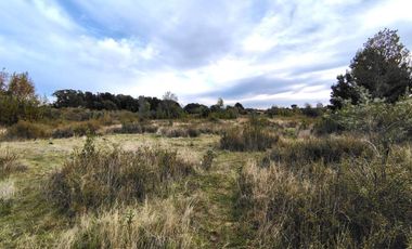 Terreno plano en  sector Curiñanco $ 80.000.000.