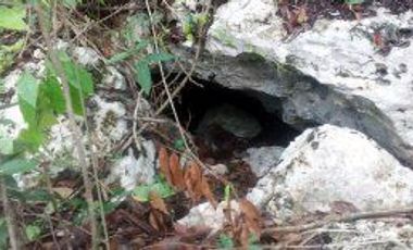 TERRENO EN VENTA VÍA TULUM A COBÁ